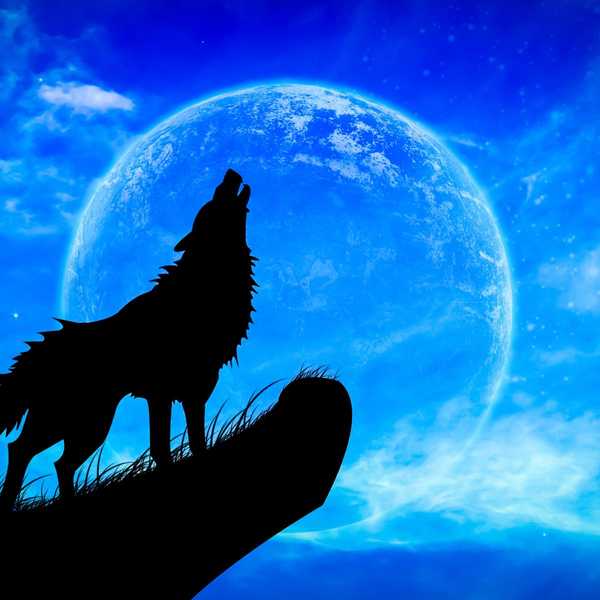 Review: HOWL – Omega Ensemble