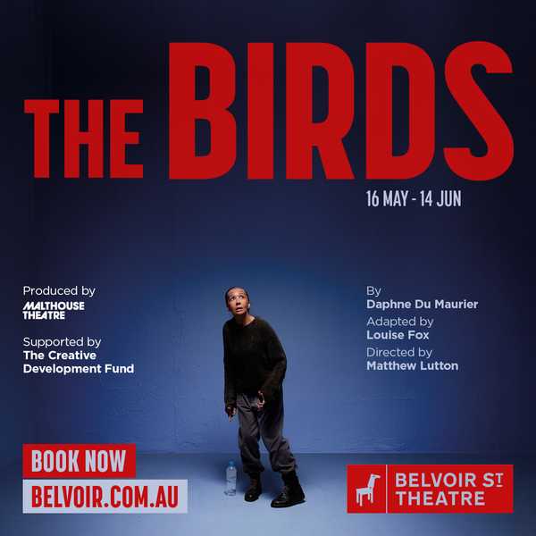 The Birds at the Belvoir